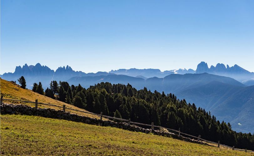 The Feldthurns mountain pasture in summer